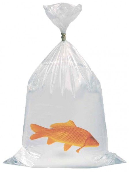 Fischtransportbeutel 25 x 60 cm